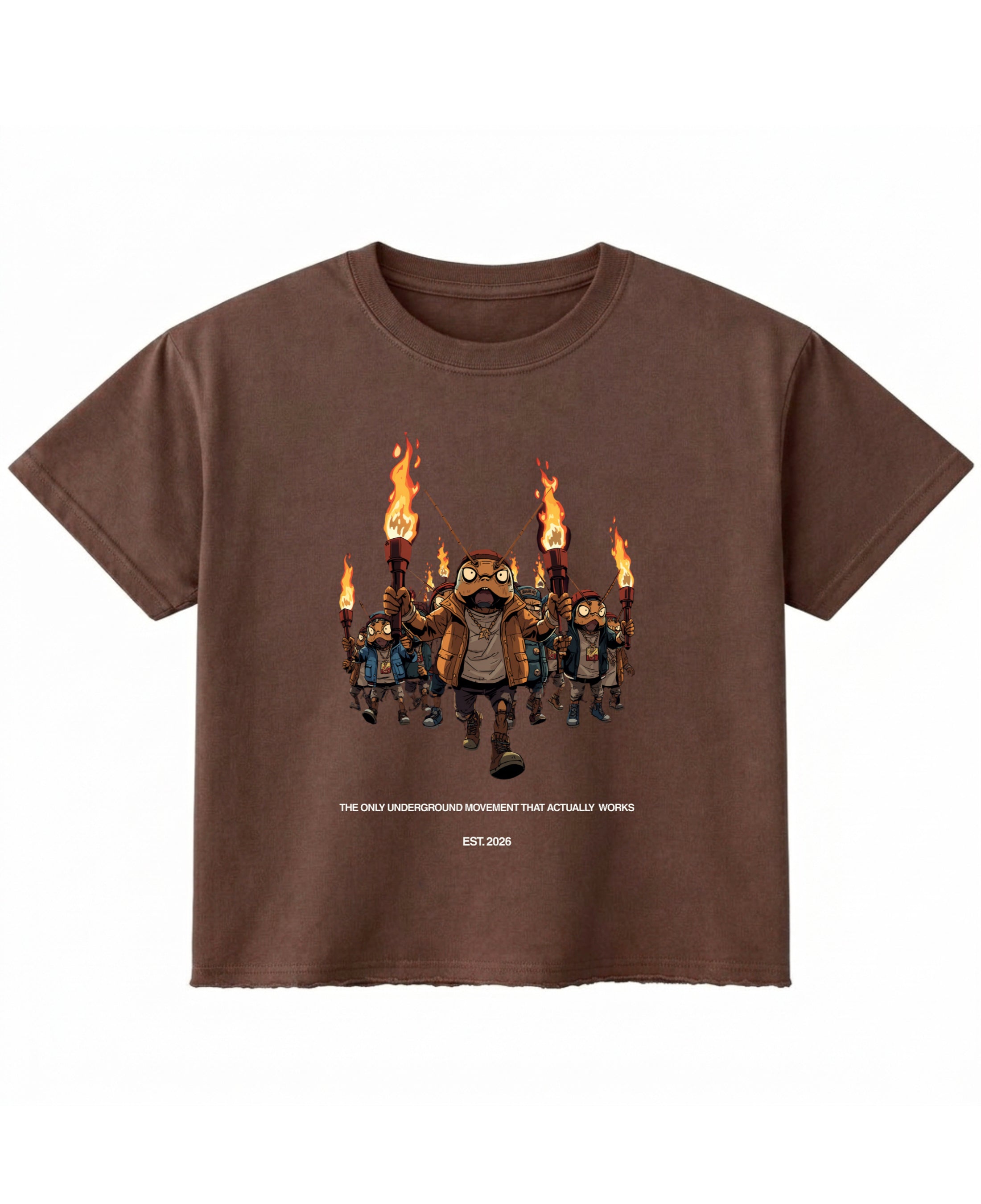 Brown Boxy Fit T-shirt Front Design